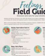 Feelings Field Guide: A Creative Way to Explore Your Emotions - Image 2